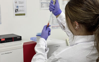 Blutuntersuchung 2.0 – Einblick in die moderne Tierdiagnostik