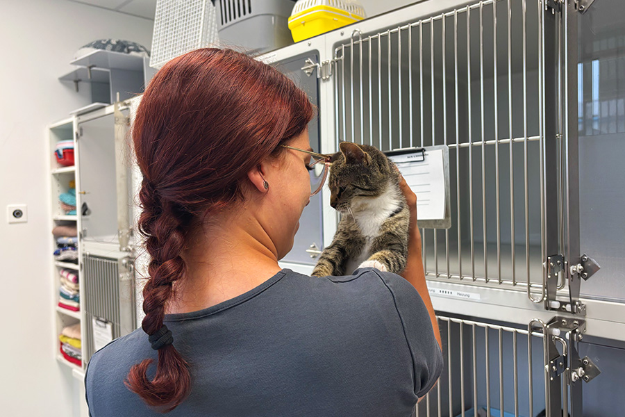 TLC – Tender, Loving, Care