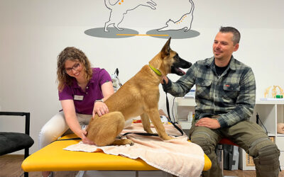Besuch von angehender Diensthündin „Nova“