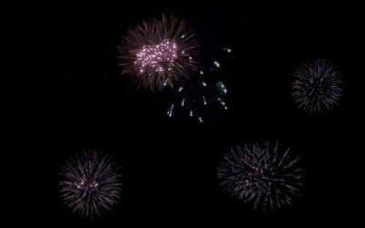 Silvester mit Tieren – so bleibt es stressfrei für Hund & Katze