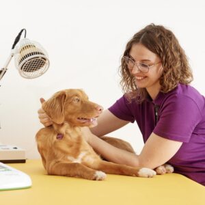 Physiotherapie Seminar – Klassische Massagegriffe am Hund <br> <span>22.05.2026</span>