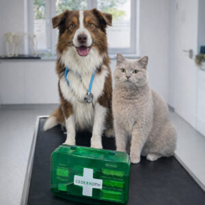 Erste-Hilfe-Kurs bei Hund und Katze <br> <span>13.04.2026</span>